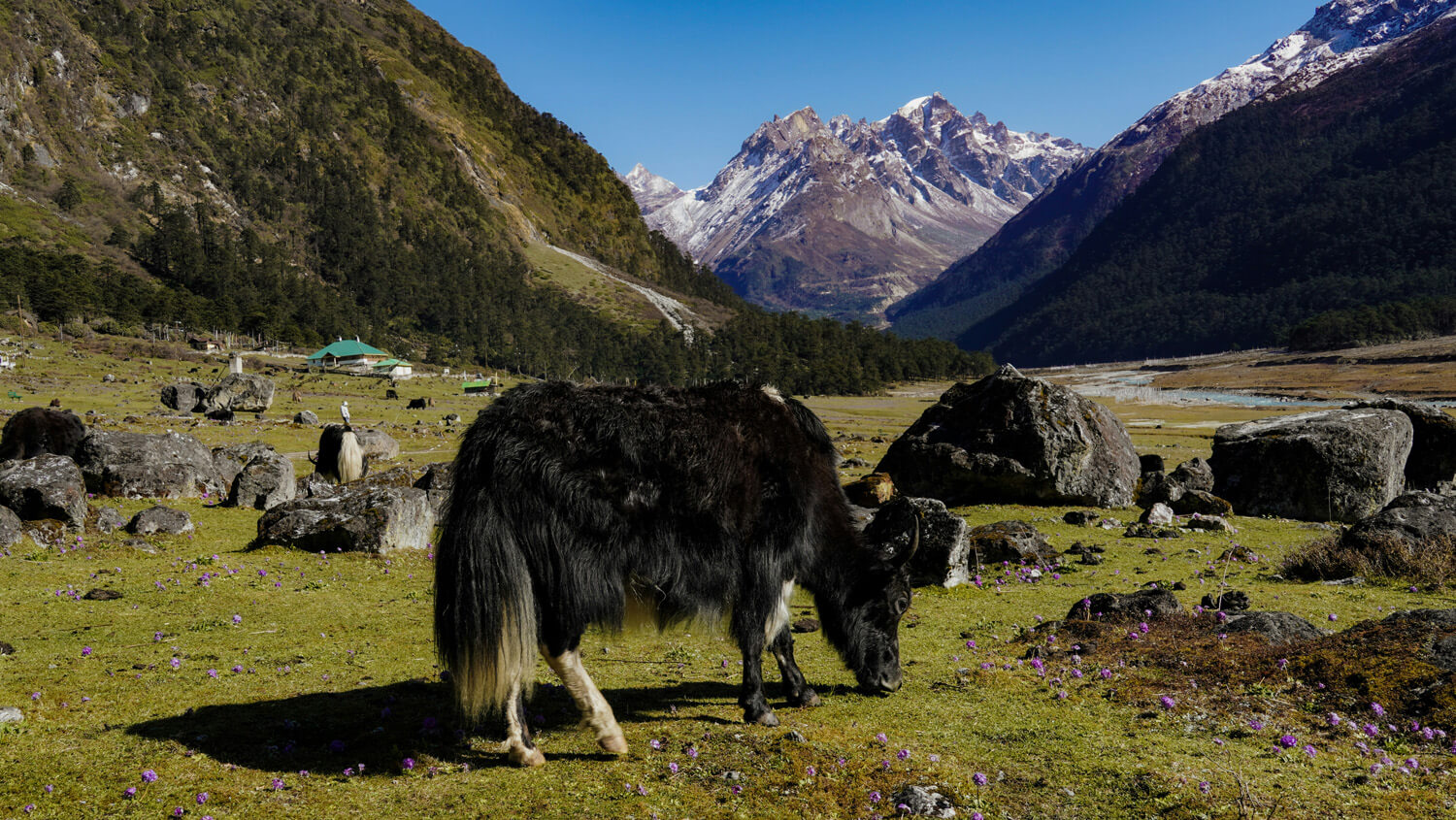 Gangtok